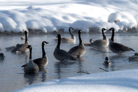 Winter morning