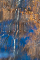 Fall reflections