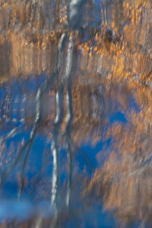 Fall reflections